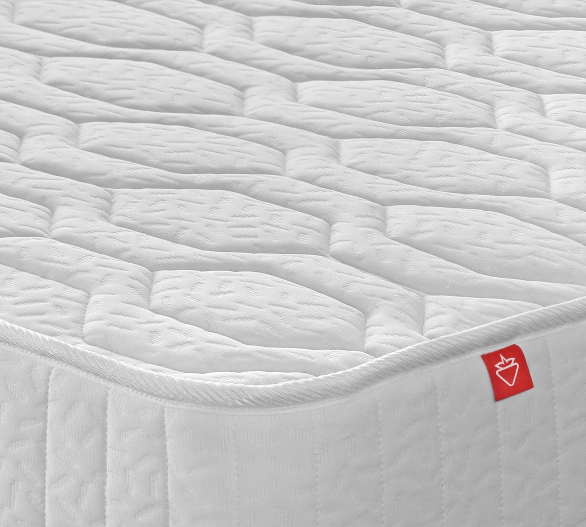 308bf229fb774061271a4818e35b1625